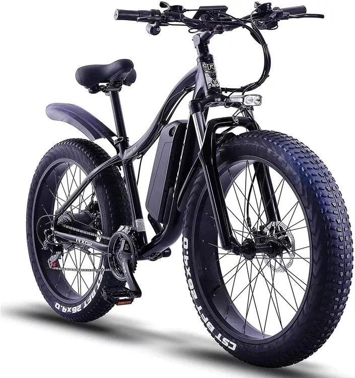 RX02 eBike Mountain Bike City e-Bike Motor 48V