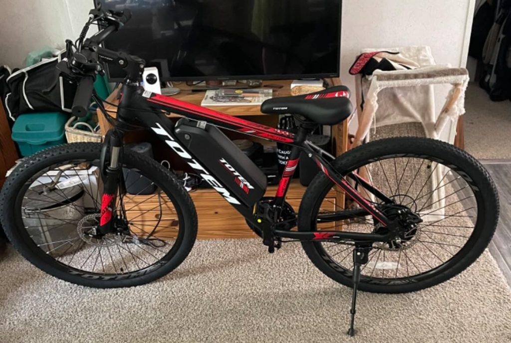 Totem Electric Bike