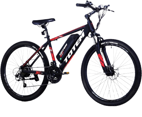 Totem Electric Bike